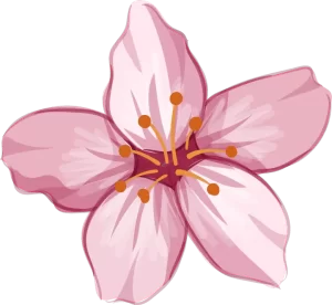 Flor de cerezo y el fenómeno influencer juvenil